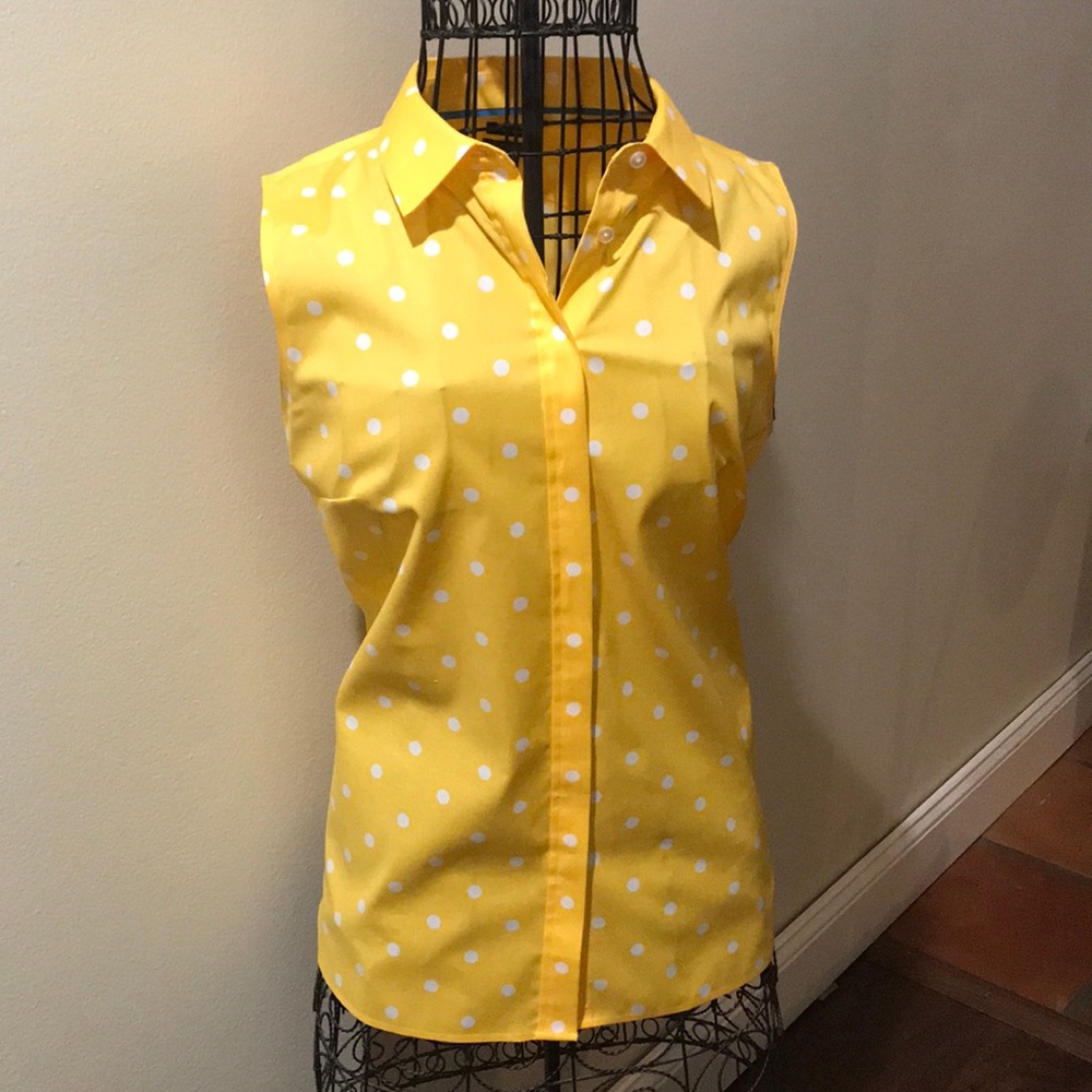 NWOT Talbots Petites Wrinkle Resistant Top